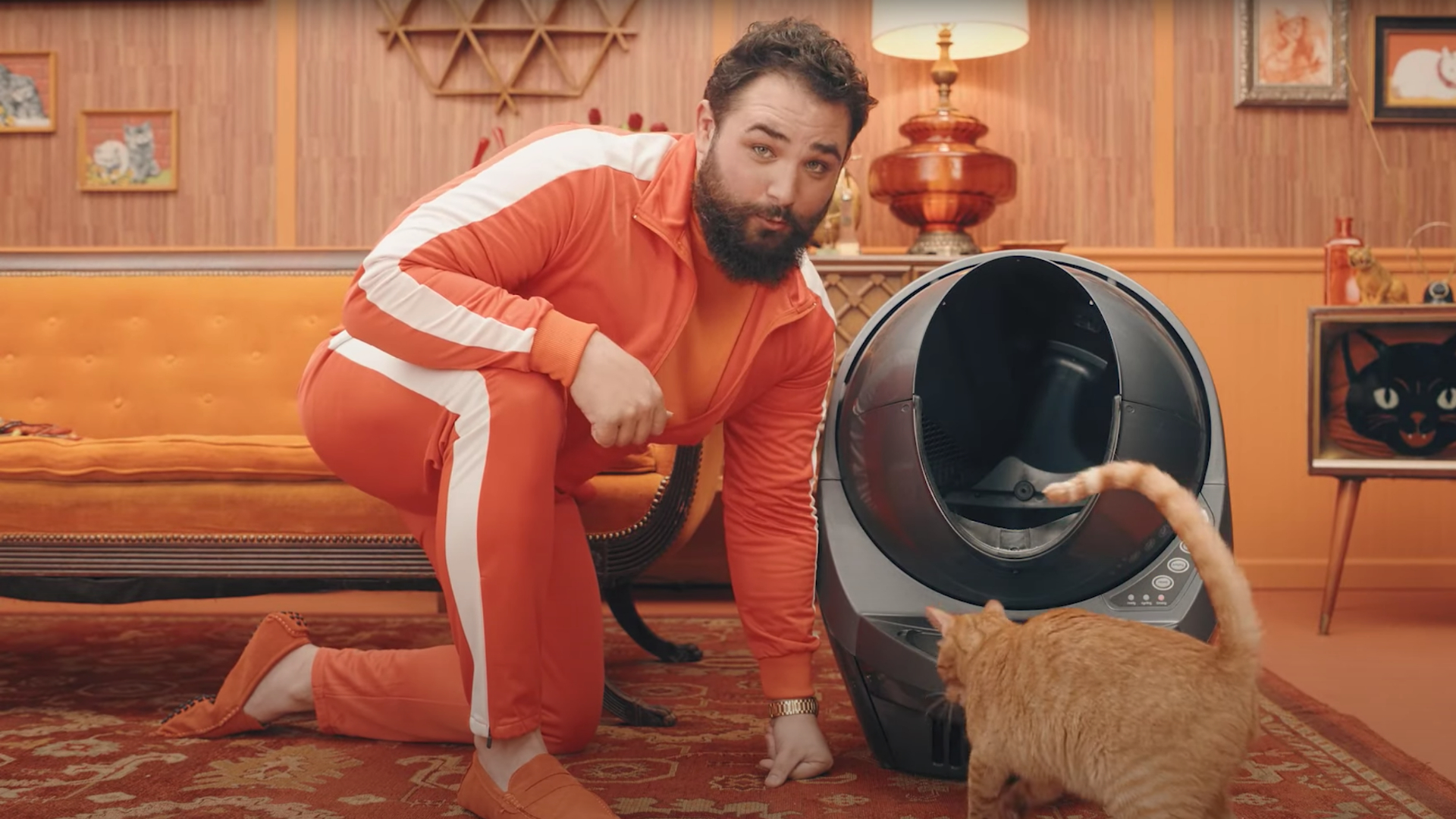 kitty litter robot commercial